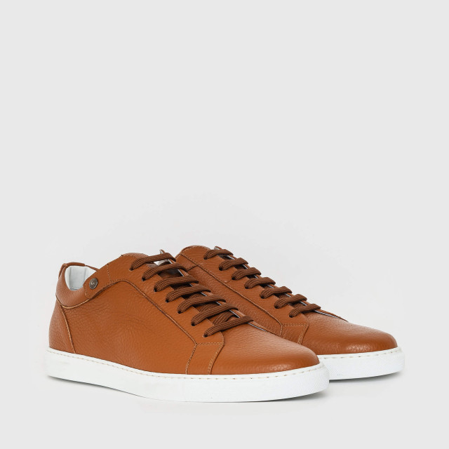 Кеды Corneliani
