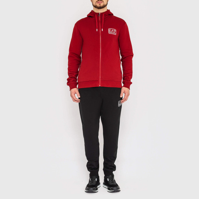 Костюм спортивный Emporio Armani EA7