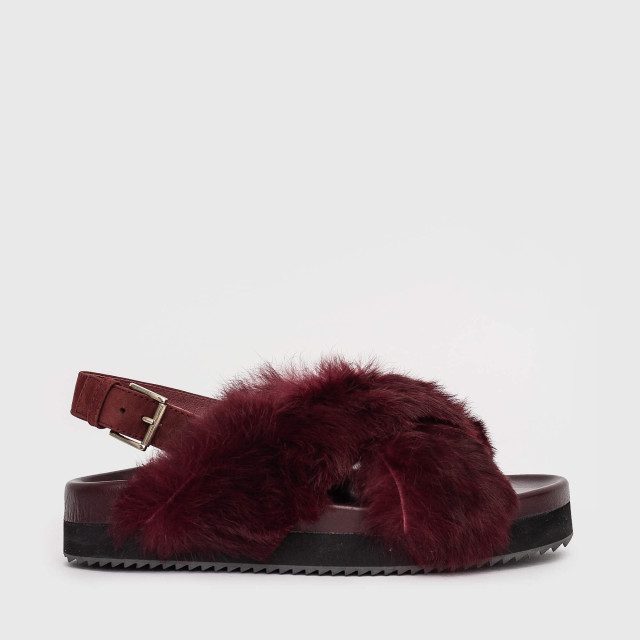 Сандалии Dondup