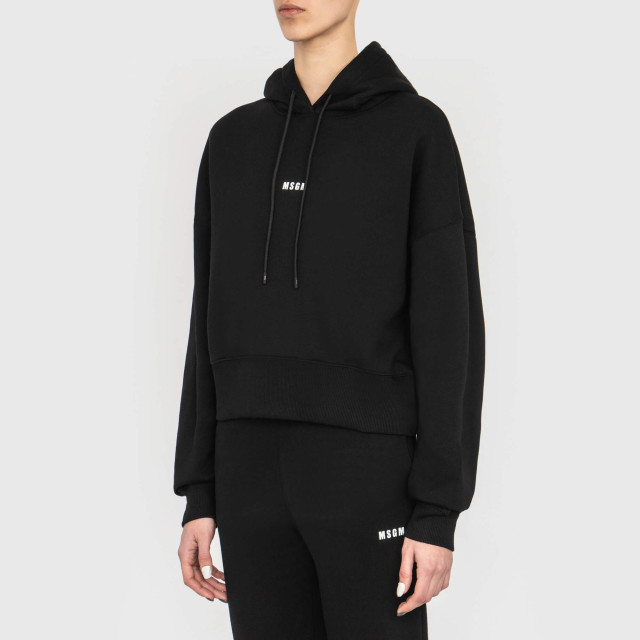 Худі MSGM