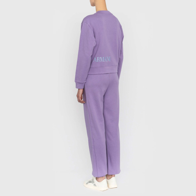 Брюки спортивні Emporio Armani