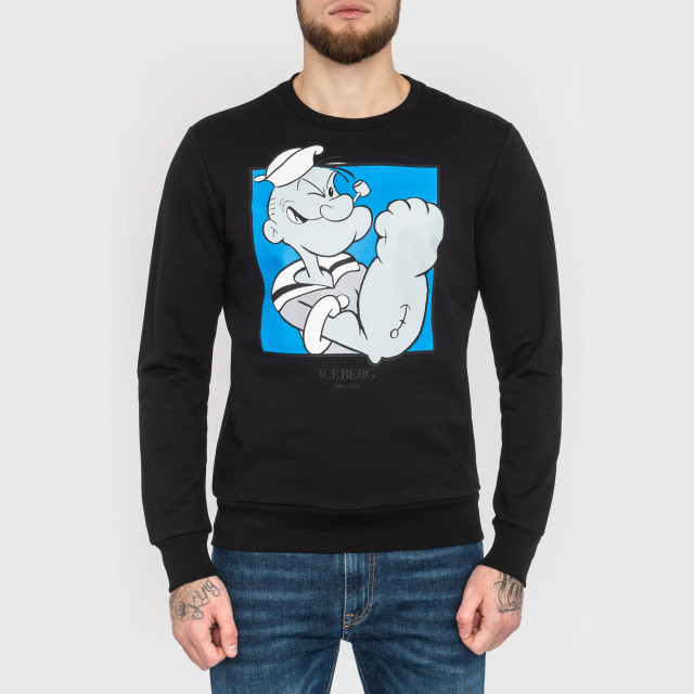Свитшот Iceberg