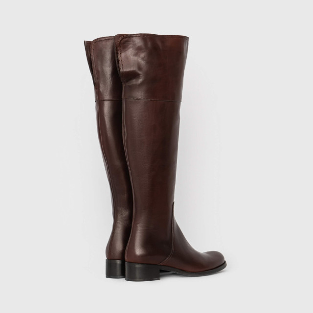 Чоботи Pollini