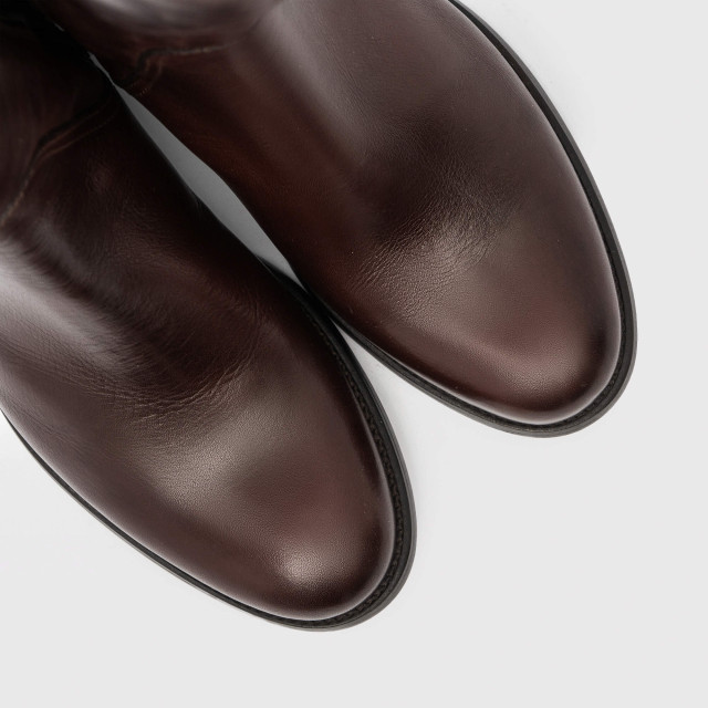 Чоботи Pollini