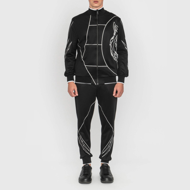 Костюм спортивный Plein Sport