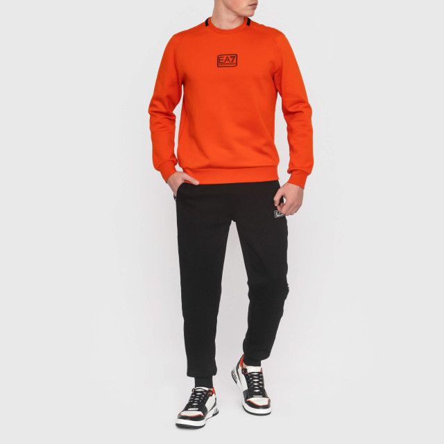 Брюки спортивные Emporio Armani EA7