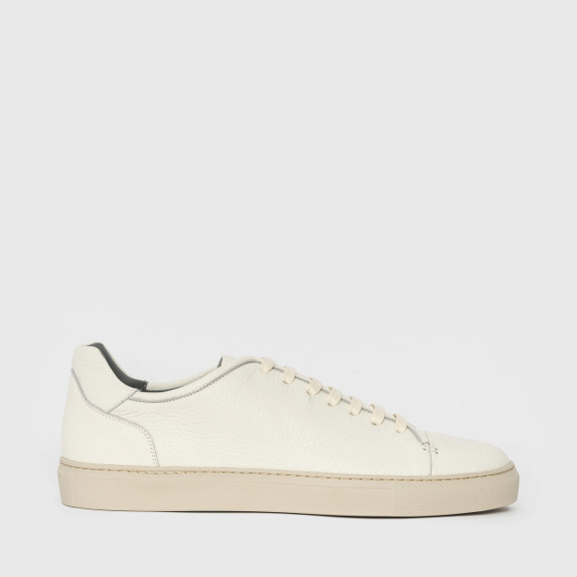 Кеды Corneliani