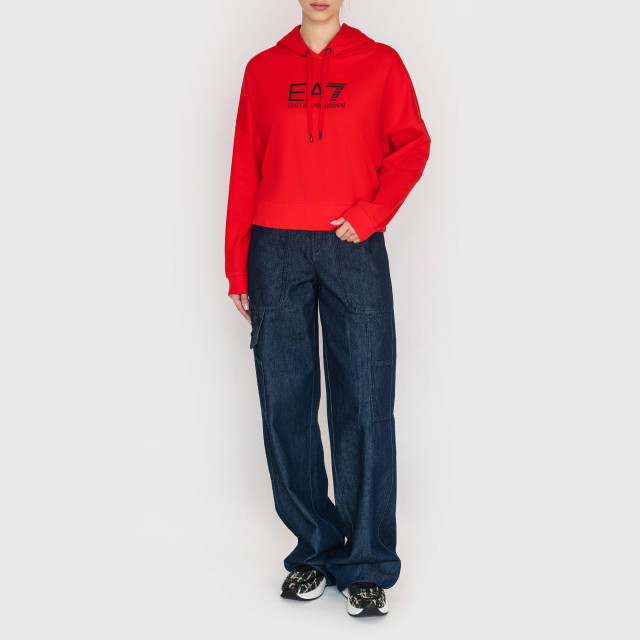 Худі Emporio Armani EA7  