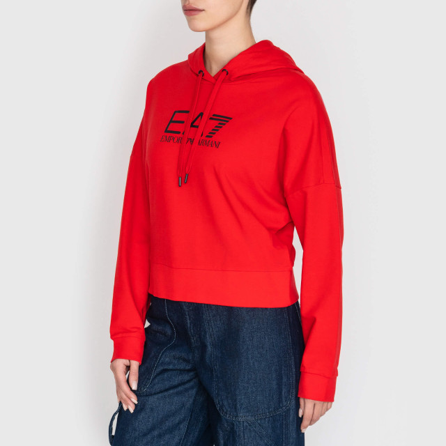 Худі Emporio Armani EA7  