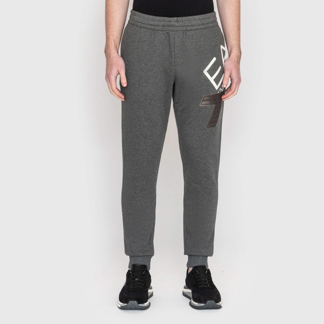Брюки спортивные Emporio Armani EA7