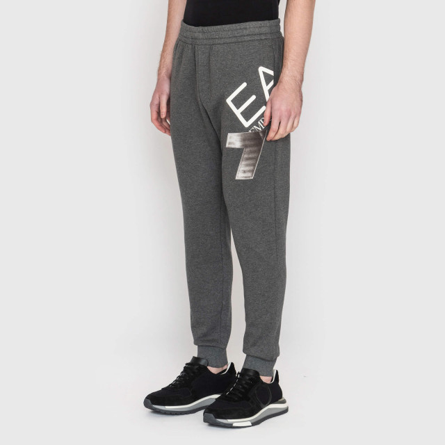 Брюки спортивные Emporio Armani EA7