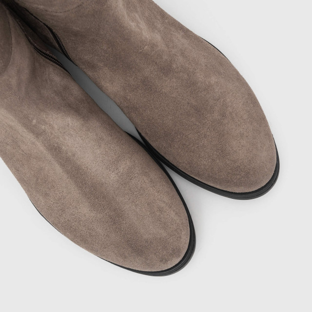 Чоботи Pollini