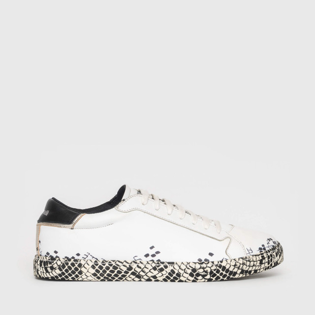 Кеды Just Cavalli