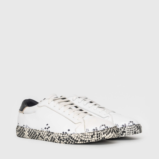 Кеды Just Cavalli