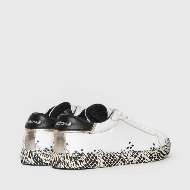 Кеды Just Cavalli