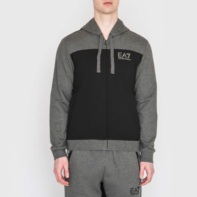 Кофта спортивная Emporio Armani EA7