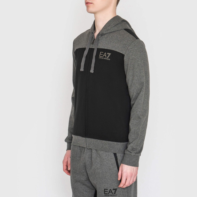 Кофта спортивная Emporio Armani EA7