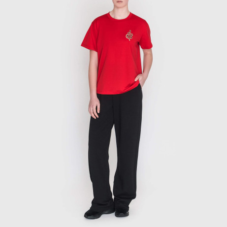 Футболка Emporio Armani