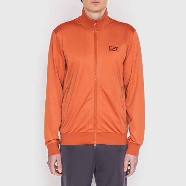 Костюм спортивный Emporio Armani EA7