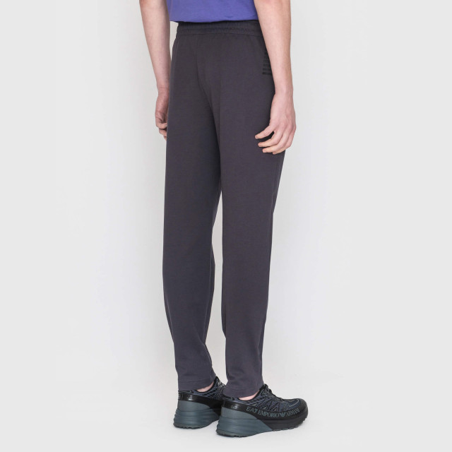 Брюки спортивные Emporio Armani EA7
