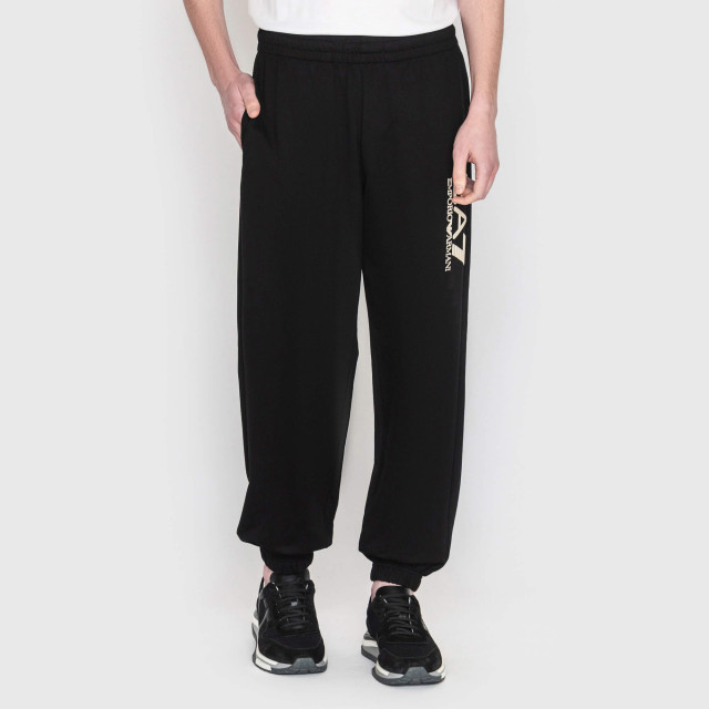 Брюки спортивні Emporio Armani EA7