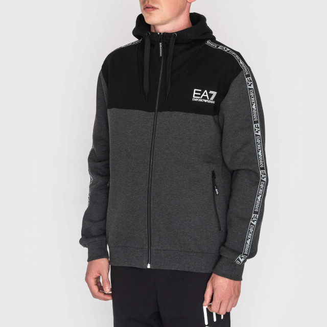 Кофта спортивная Emporio Armani EA7
