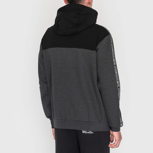 Кофта спортивная Emporio Armani EA7