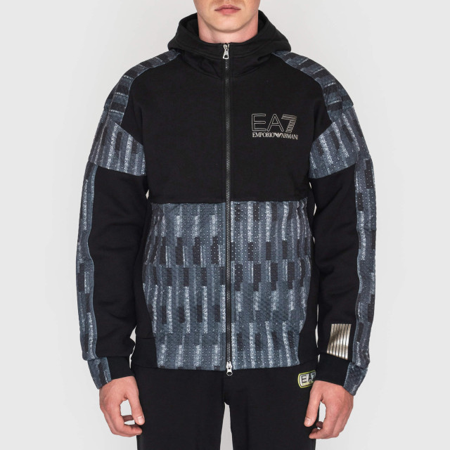 Кофта спортивная Emporio Armani EA7