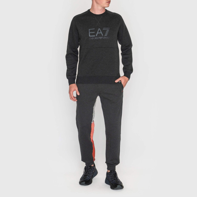 Брюки спортивные Emporio Armani EA7