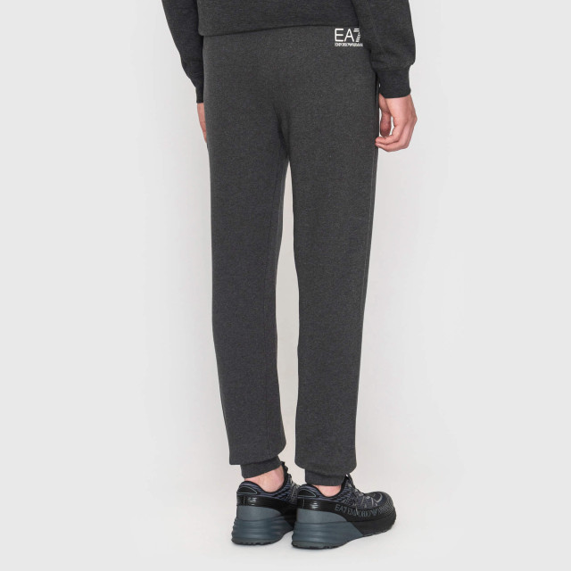 Брюки спортивные Emporio Armani EA7