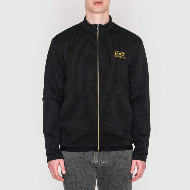 Кофта спортивная Emporio Armani EA7