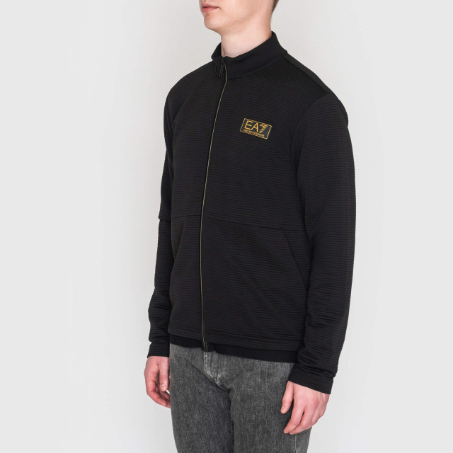 Кофта спортивная Emporio Armani EA7