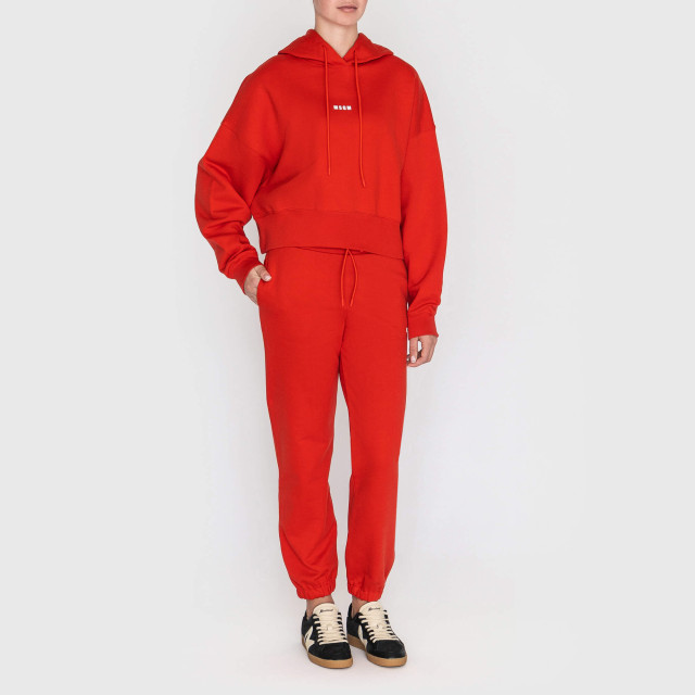 Брюки спортивные MSGM